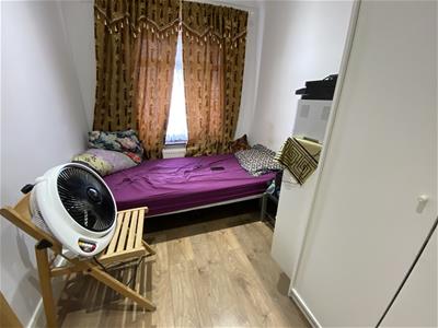 Picture 8